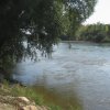 finnek 2011 006